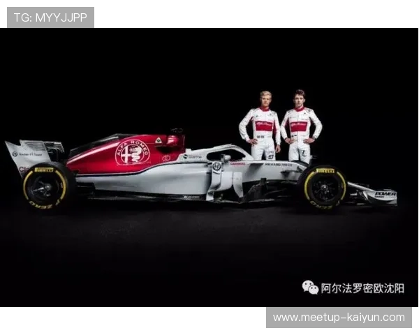 F1赛季最新动态解析各车队战略调整与赛车性能竞争